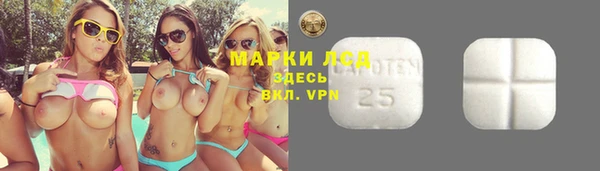 каннабис Новодвинск