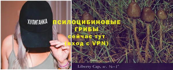 бутират Новозыбков