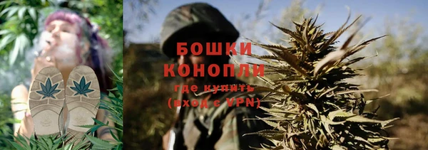 каннабис Новодвинск