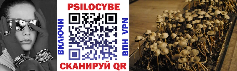 мориарти как зайти  МЕГА как войти  Сыктывкар  Псилоцибиновые грибы Psilocybe 