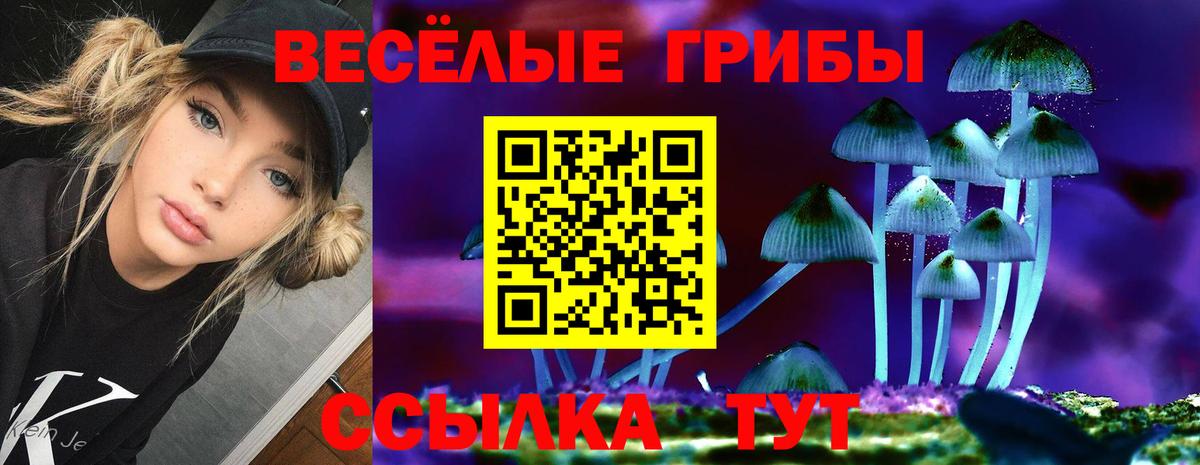 Псилоцибиновые грибы Magic Shrooms Сыктывкар