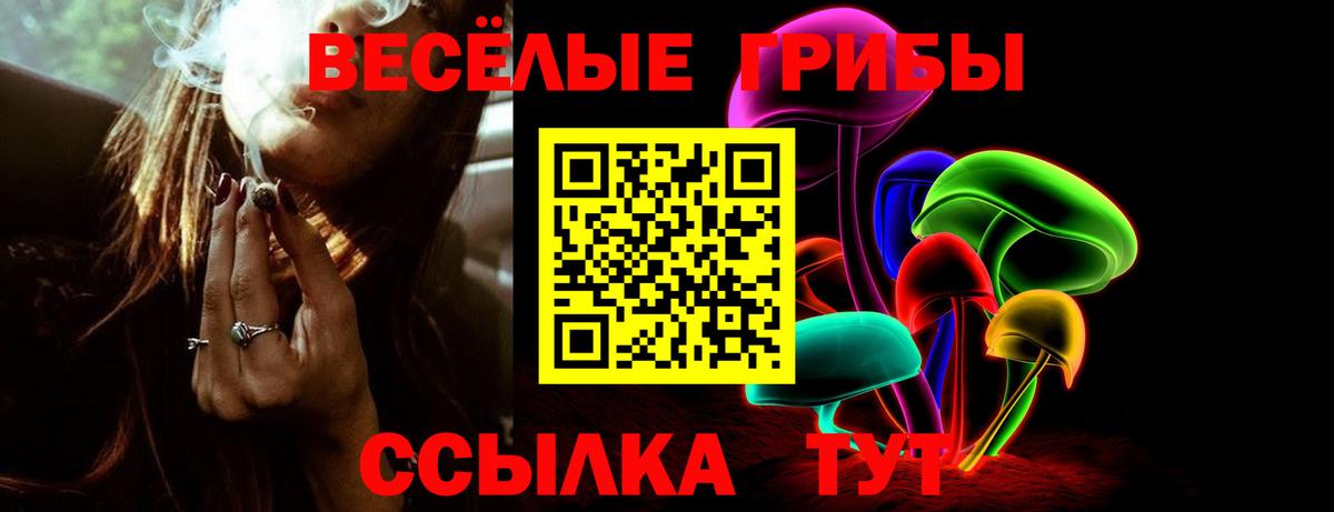 Псилоцибиновые грибы прущие грибы  Вход с VPN  Сыктывкар 